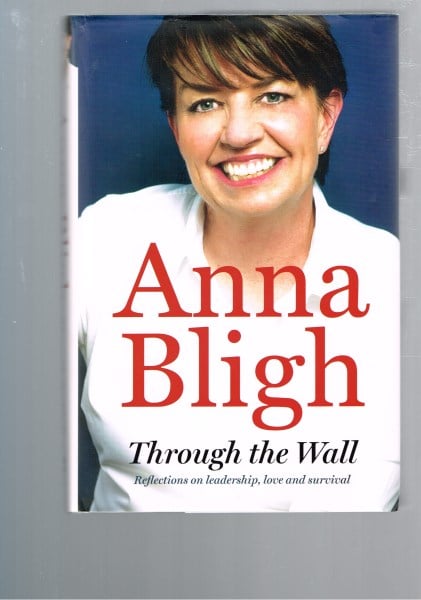 Through the Wall: Reflections on Leadership, Love and Survival
