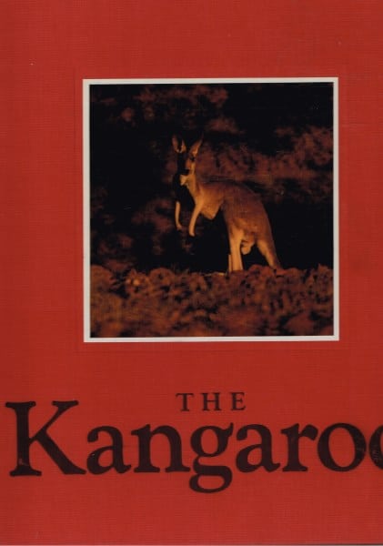The Kangaroo