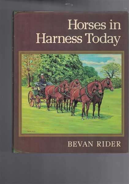 Horses in Harness Today