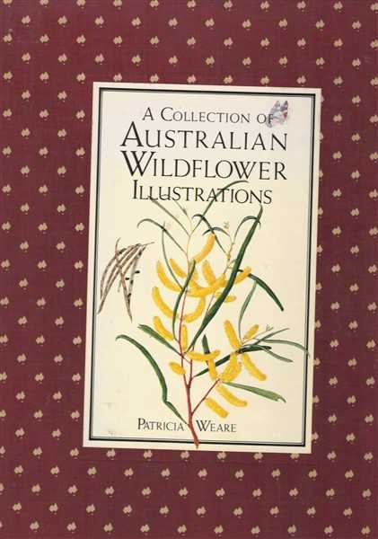 A Collection of Australian Wildflower Illustrations