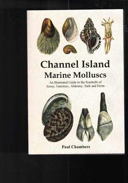 Channel Island Marine Molluscs